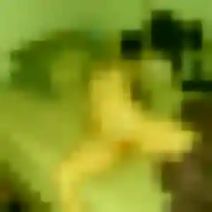 Rejoins Laetitia, 22 ans à Ouches en privé