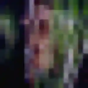 Sexy Oulimata, 30 ans à Ozillac - découvrir son profil