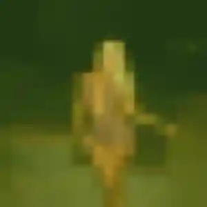 Photo de Justine à Pagny-sur-Moselle (34 ans) - plan cul anonyme