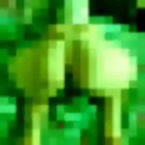 Akinyi, femme de 32 ans propose plan cul à Palluau