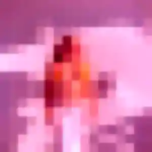 Photo exclusive de Wilda, 28 ans à Paraza - rencontre sans lendemain