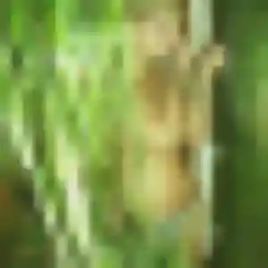 Jolie Gladys, 35 ans à Paris - découvrir son profil