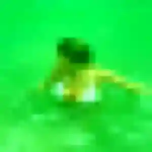 Maëva, 43 ans, dispo pour plan cul à Parly