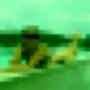 Photo de Uchenna à Pavie (33 ans) - plan cul gratuit