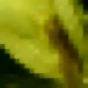 Anaïs, 37 ans, disponible à Pédernec pour un plan cul