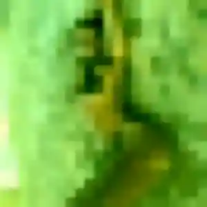 Lina, 36 ans, connectée à Peillonnex pour un plan cul