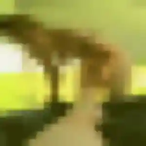 Photo de Yaa à Pernay (35 ans) - plan cul sans inscription