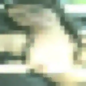 Photo privée de Gnilane, 45 ans à Péron - rencontre coquine