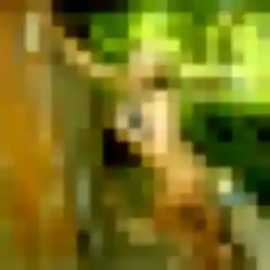 Titi, 34 ans, connectée à Peyrelevade pour une rencontre coquine