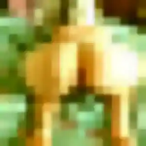 Photo sexy de Zara, 43 ans à Pezou - plan discret