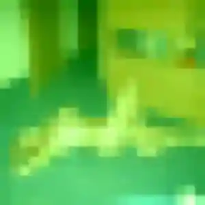 Photo de Sixtine à Pietrosella (40 ans) - plan cul sans inscription