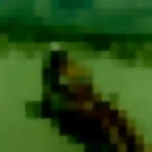 Découvre Codou, 22 ans à Pineuilh en t'inscrivant