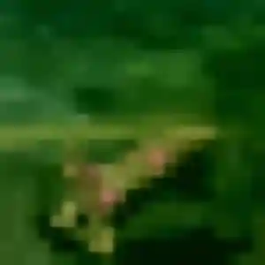 Photo privée de Héloïse, 39 ans à Piney - plan discret