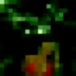 Photo privée de Kadja, 38 ans à Pissos - rencontre sans lendemain