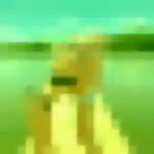 Photo privée de Lilou, 35 ans à Plaissan - rencontre coquine