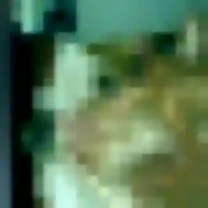 Profil de Oluchi à Planfoy (36 ans) - plan cul discret