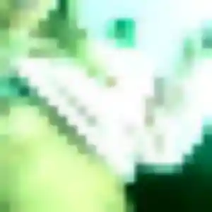 Obiageli, 39 ans, connectée à Plerguer pour une rencontre coquine