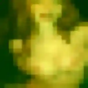 Belle Aïcha, 34 ans à Plescop - voir sa photo