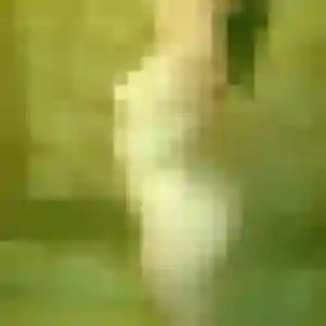 Contacte Yacine, 32 ans à Plesder gratuitement