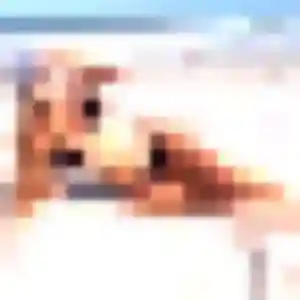 Rencontre Jennifer, 26 ans à Pleuven en t'inscrivant