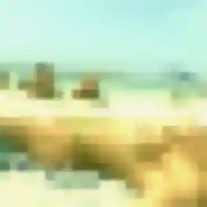 Profil de Marguerite à Pléven (40 ans) - plan cul anonyme