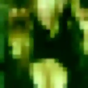 Profil de Mariame à Plévenon (39 ans) - plan cul discret