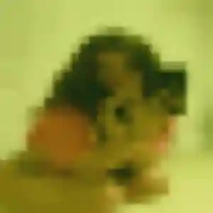 Samira, 26 ans, cherche un plan cul à Plogastel-Saint-Germain