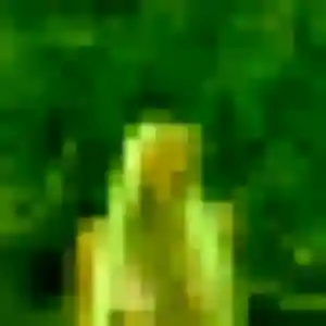 Soukeyna, femme de 27 ans cherche plan cul à Ploudaniel