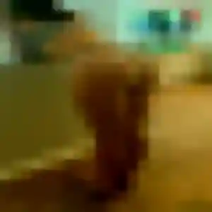Rosalie, femme de 27 ans veut plan cul à Plouézec