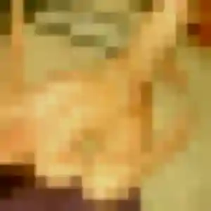 Photo sexy de Ama, 33 ans à Plounéour-Ménez - rencontre coquine
