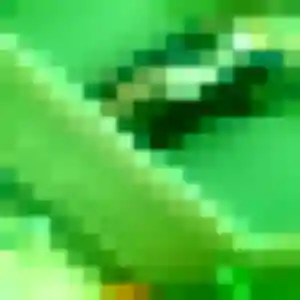 Joy, 30 ans, disponible à Plouray pour un plan cul