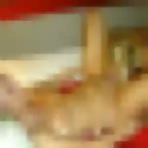 Ornella (26 ans) à Plouray propose une rencontre rapidement