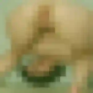 Ablavi, 40 ans, disponible à Plourin-lès-Morlaix pour une rencontre coquine