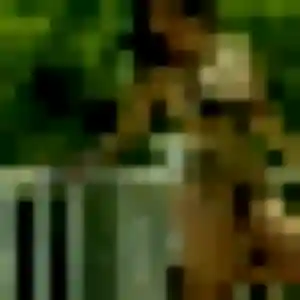 Profil de Nabou à Plourin (34 ans) - plan cul gratuit