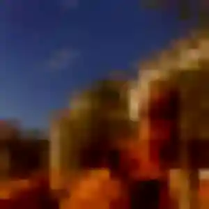 Nkechi (24 ans) à Plouvara attend une rencontre rapidement