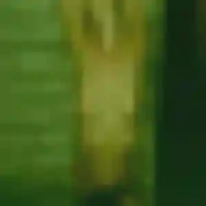 Photo privée de Hope, 45 ans à Pluneret - rencontre coquine