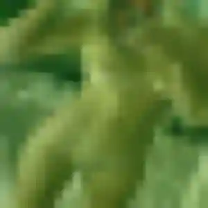 Profil de Jumoke à Poincy (27 ans) - plan cul gratuit