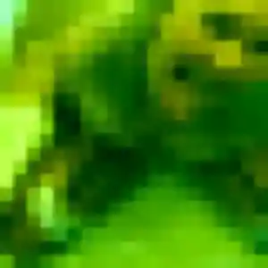 Capucine, fille de 25 ans veut plan cul à Pointis-Inard