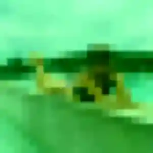 Abigail (36 ans) à Poissons attend un plan cul aujourd'hui