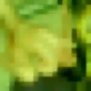 Affoué, 40 ans, veut un plan cul à Poligny