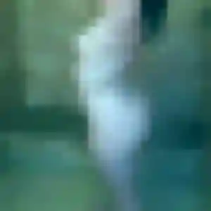 plan cul à Pomarez : profil de Nadia, 32 ans - inscription gratuite