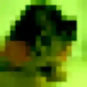 Rencontre Bérénice, 31 ans à Pont-du-Casse gratuitement