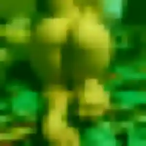 Photo sexy de Adaora, 42 ans à Ponthévrard - rencontre sans lendemain