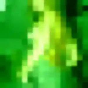 Belle Béatrice, 41 ans à Porspoder - découvrir son profil