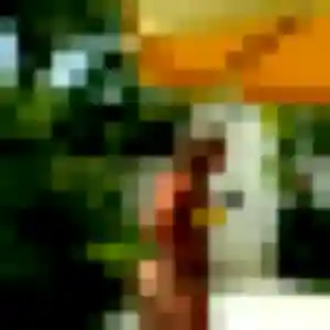 Photo privée de Binta, 35 ans à Portel-des-Corbières - plan discret