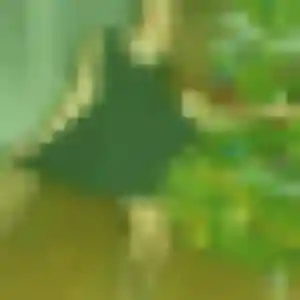 Profil de Ngoné à Pouilly-sur-Saône (32 ans) - plan cul gratuit