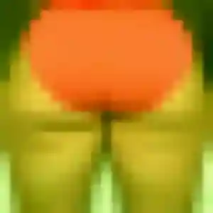 Photo de Anaïs à Poulx (26 ans) - plan cul anonyme