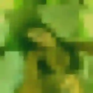 Roxane, 43 ans, veut un plan cul à Préchacq-les-Bains