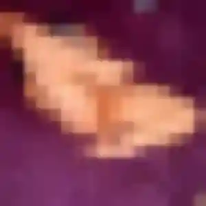 Profil de Ophélie à Preixan (41 ans) - plan cul gratuit