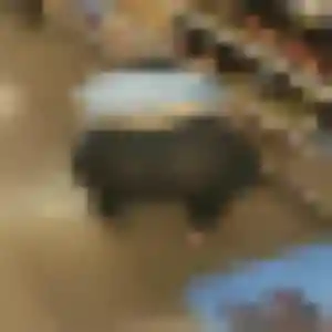 Rencontre Mumbi, 32 ans à Presles en t'inscrivant